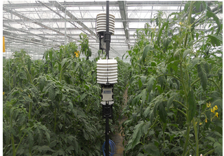 物联网传输系统与传统无线网络 在通信与自动控制技术中的核心差异